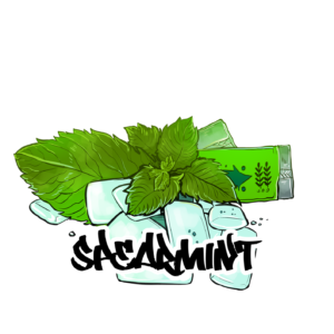 taste 0026 spearmint